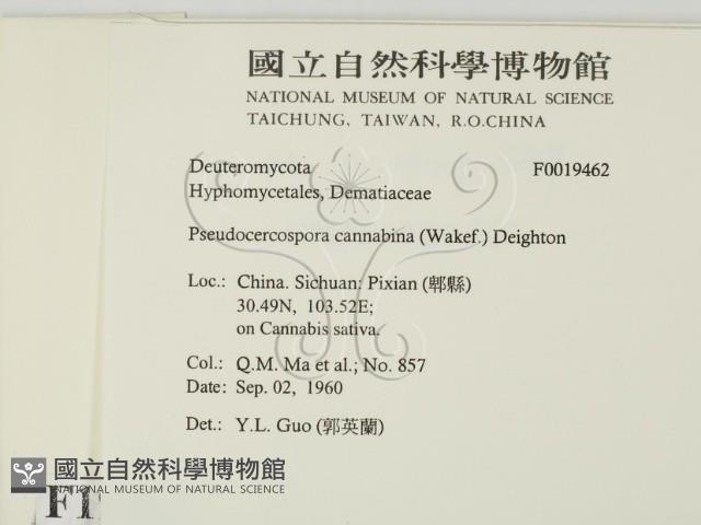 登錄號:F0019462藏品圖，第2張