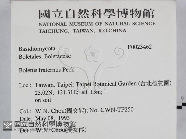 登錄號:F0023462藏品圖，第2張