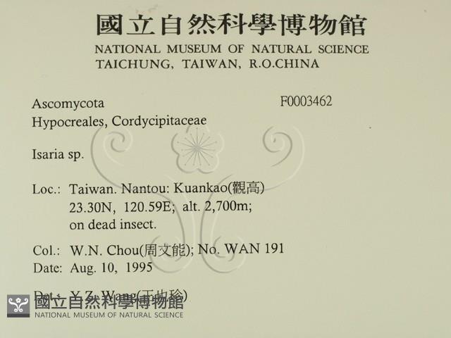 登錄號:F0003462藏品圖，第2張