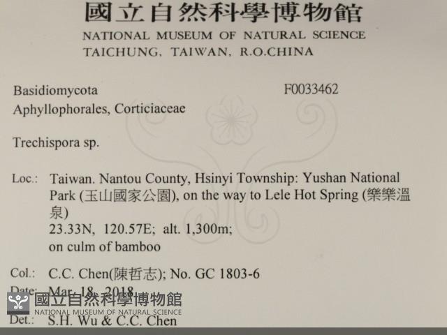 登錄號:F0033462藏品圖，第2張