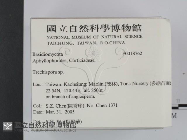 登錄號:F0018762藏品圖，第2張