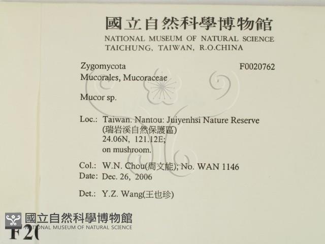 登錄號:F0020762藏品圖，第2張