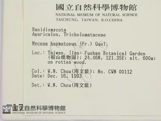登錄號:F0001762藏品圖，第2張