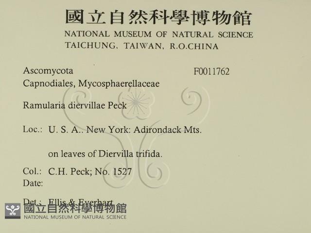 登錄號:F0011762藏品圖，第2張