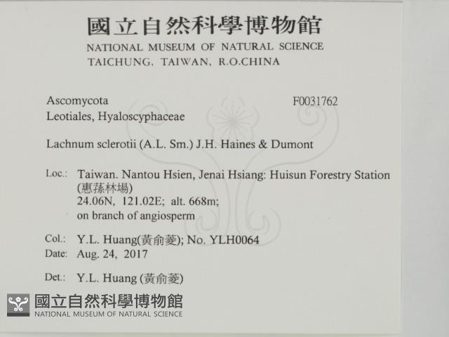 登錄號:F0031762藏品圖，第2張