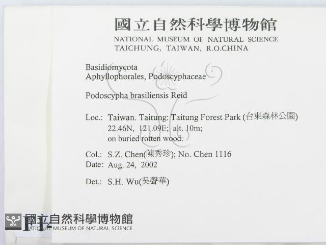登錄號:F0014762藏品圖，第2張