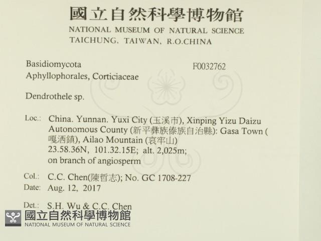 登錄號:F0032762藏品圖，第2張