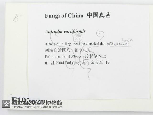 登錄號:F0019762藏品圖，第2張