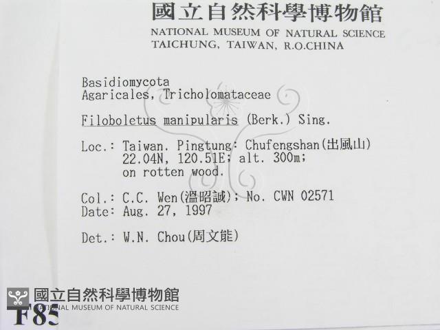 登錄號:F0008562藏品圖，第2張