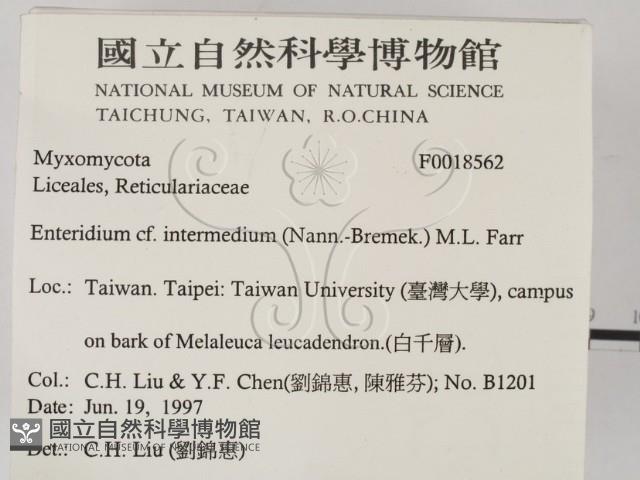 登錄號:F0018562藏品圖，第2張