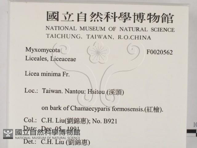 登錄號:F0020562藏品圖，第2張