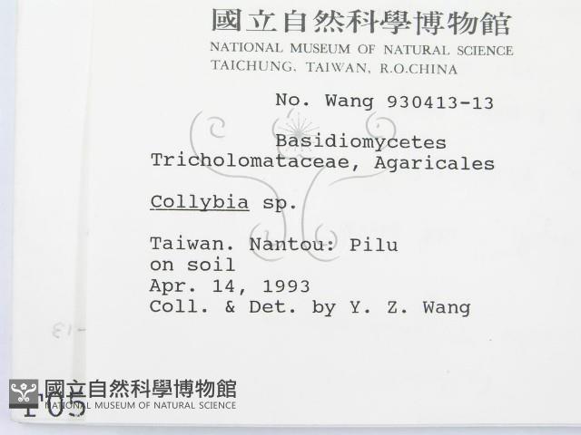 登錄號:F0000562藏品圖，第2張