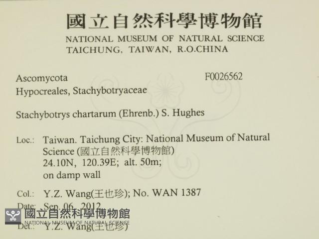 登錄號:F0026562藏品圖，第2張