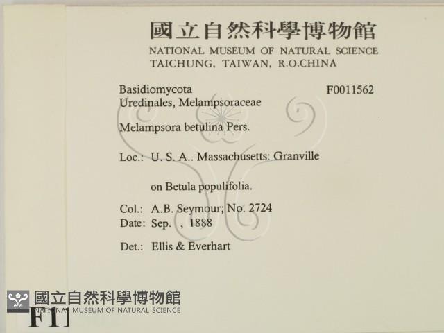 登錄號:F0011562藏品圖，第2張