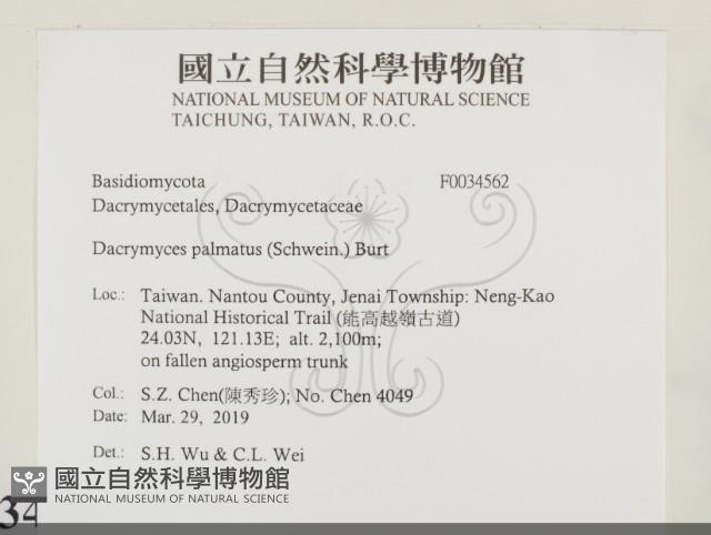 登錄號:F0034562藏品圖，第2張