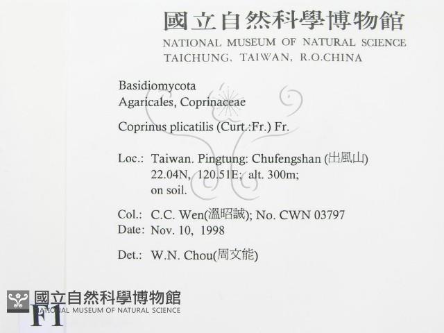 登錄號:F0012562藏品圖，第2張