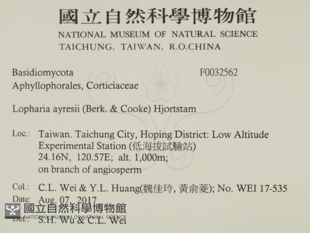 登錄號:F0032562藏品圖，第2張