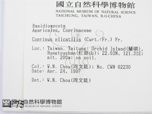 登錄號:F0007562藏品圖，第2張