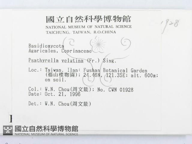 登錄號:F0005562藏品圖，第2張