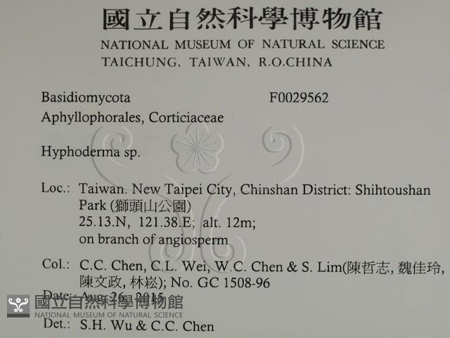 絲皮菌屬藏品圖，第2張