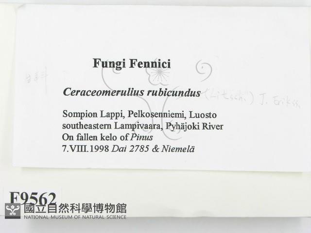 登錄號:F0009562藏品圖，第2張