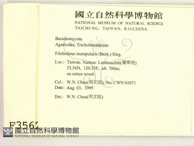 登錄號:F0003562藏品圖，第2張