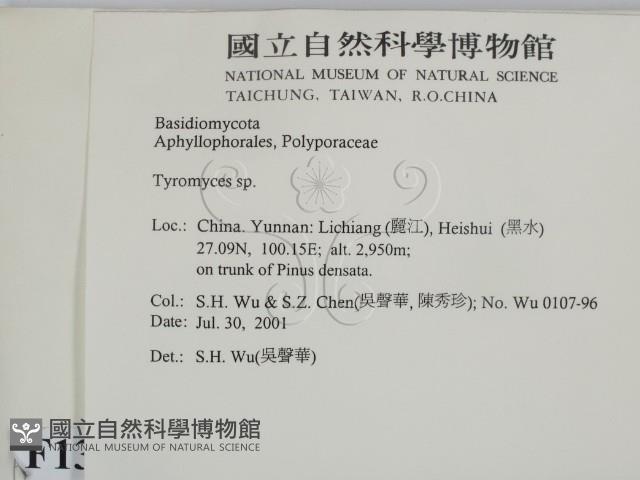 登錄號:F0013562藏品圖，第2張