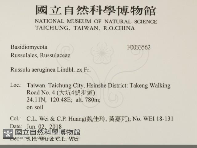 登錄號:F0033562藏品圖，第2張