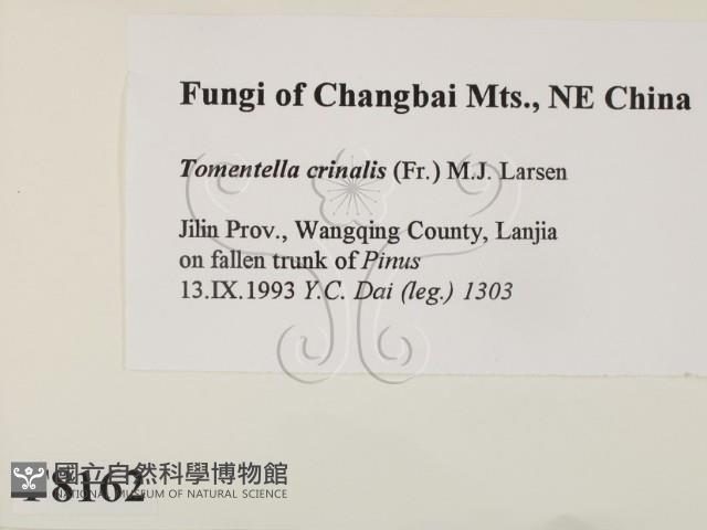 登錄號:F0008162藏品圖，第2張