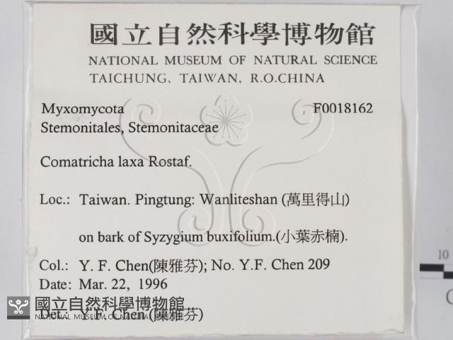 登錄號:F0018162藏品圖，第2張