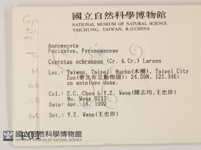 登錄號:F0000162藏品圖，第2張