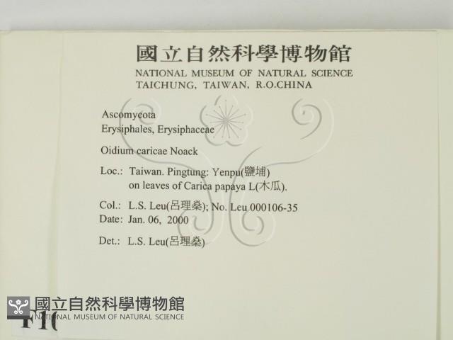 登錄號:F0010162藏品圖，第2張