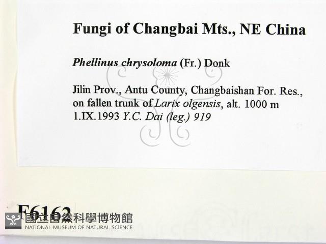 登錄號:F0006162藏品圖，第2張