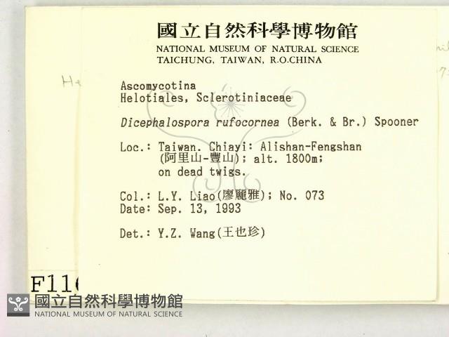 登錄號:F0001162藏品圖，第2張