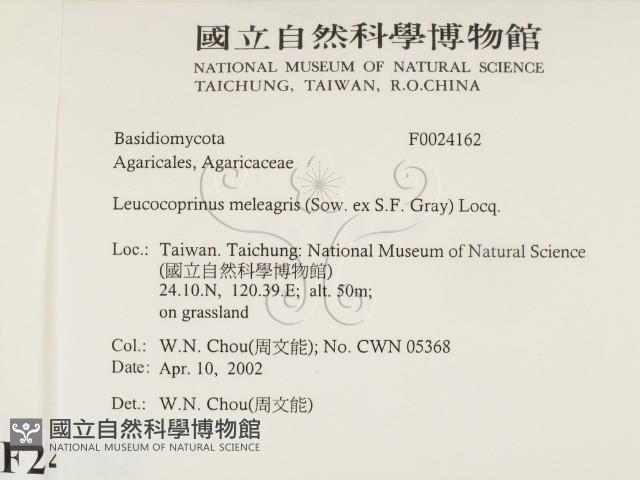 登錄號:F0024162藏品圖，第2張