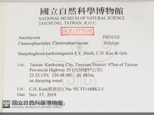 登錄號:F0034162藏品圖，第2張