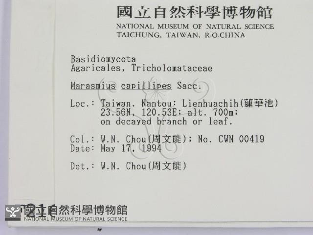 登錄號:F0002162藏品圖，第2張