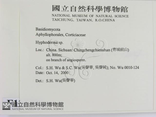 絲皮菌屬藏品圖，第2張