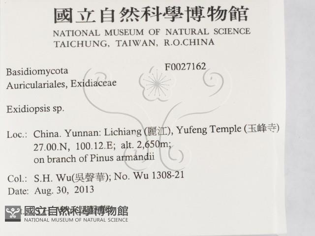 登錄號:F0027162藏品圖，第2張