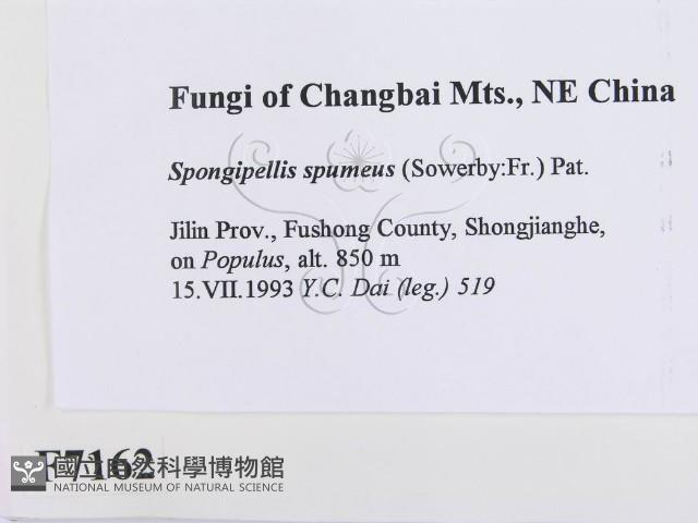 登錄號:F0007162藏品圖，第2張