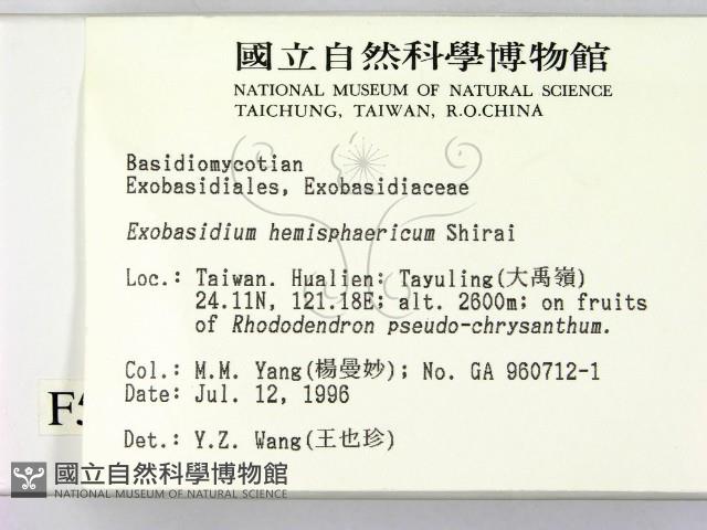 登錄號:F0005162藏品圖，第2張