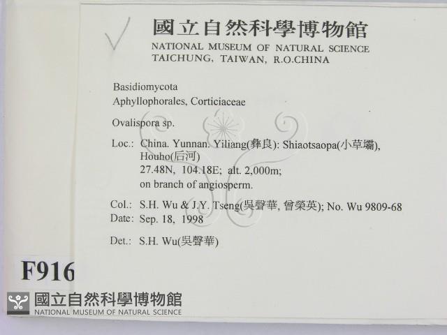 登錄號:F0009162藏品圖，第2張