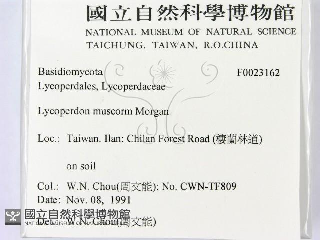 登錄號:F0023162藏品圖，第2張