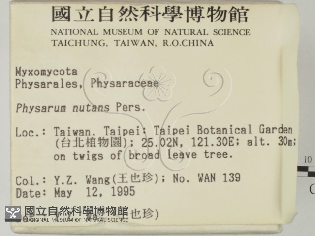 登錄號:F0003162藏品圖，第2張