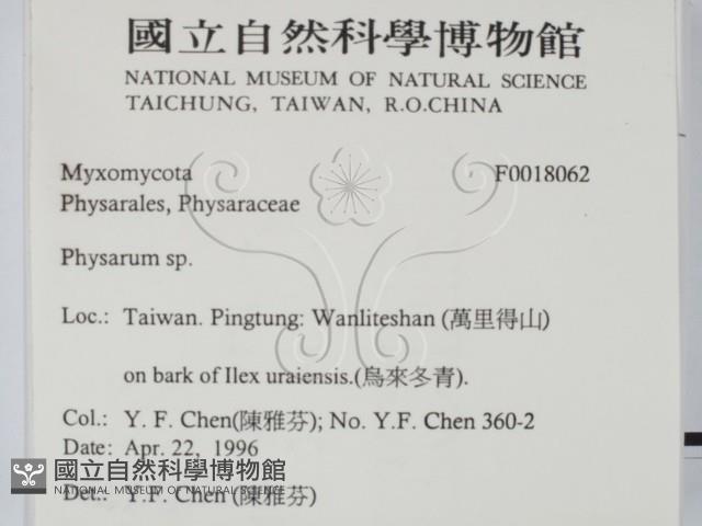 登錄號:F0018062藏品圖，第2張