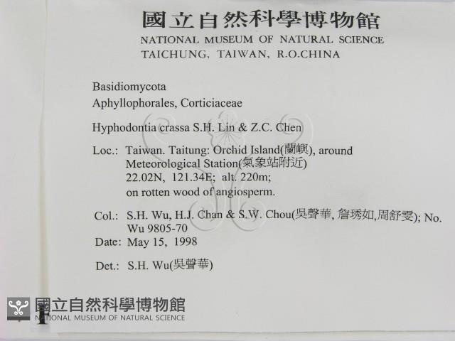 登錄號:F0010062藏品圖，第2張