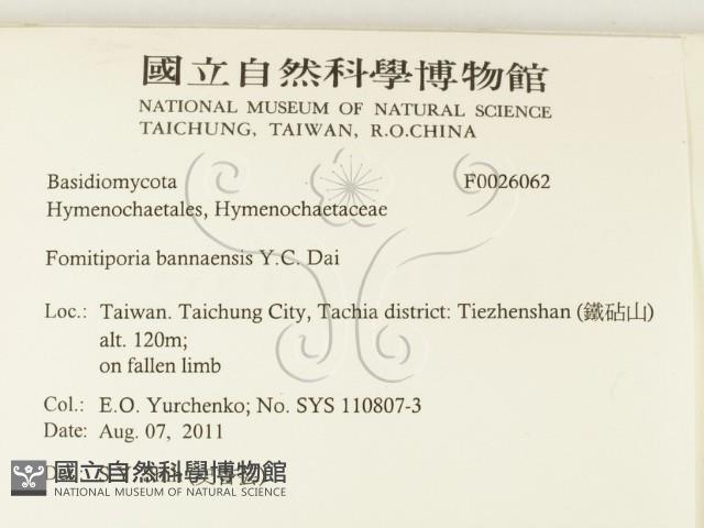 登錄號:F0026062藏品圖，第2張