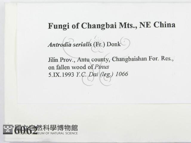 登錄號:F0006062藏品圖，第2張