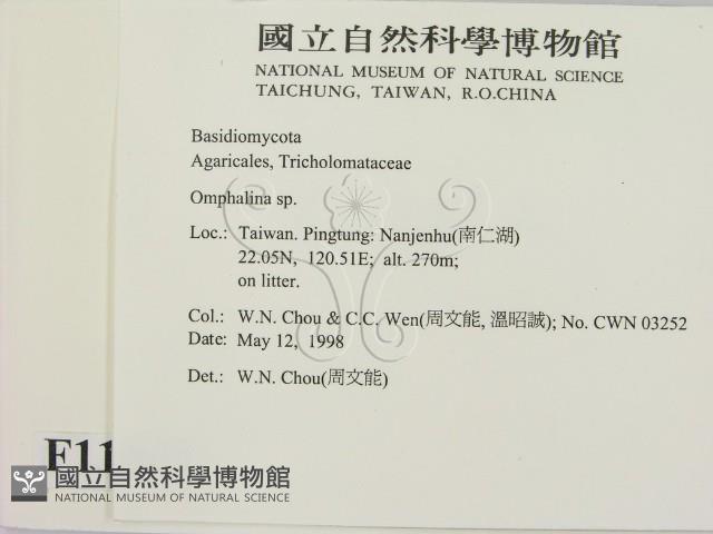 登錄號:F0011062藏品圖，第2張