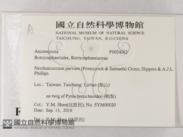 登錄號:F0024062藏品圖，第2張